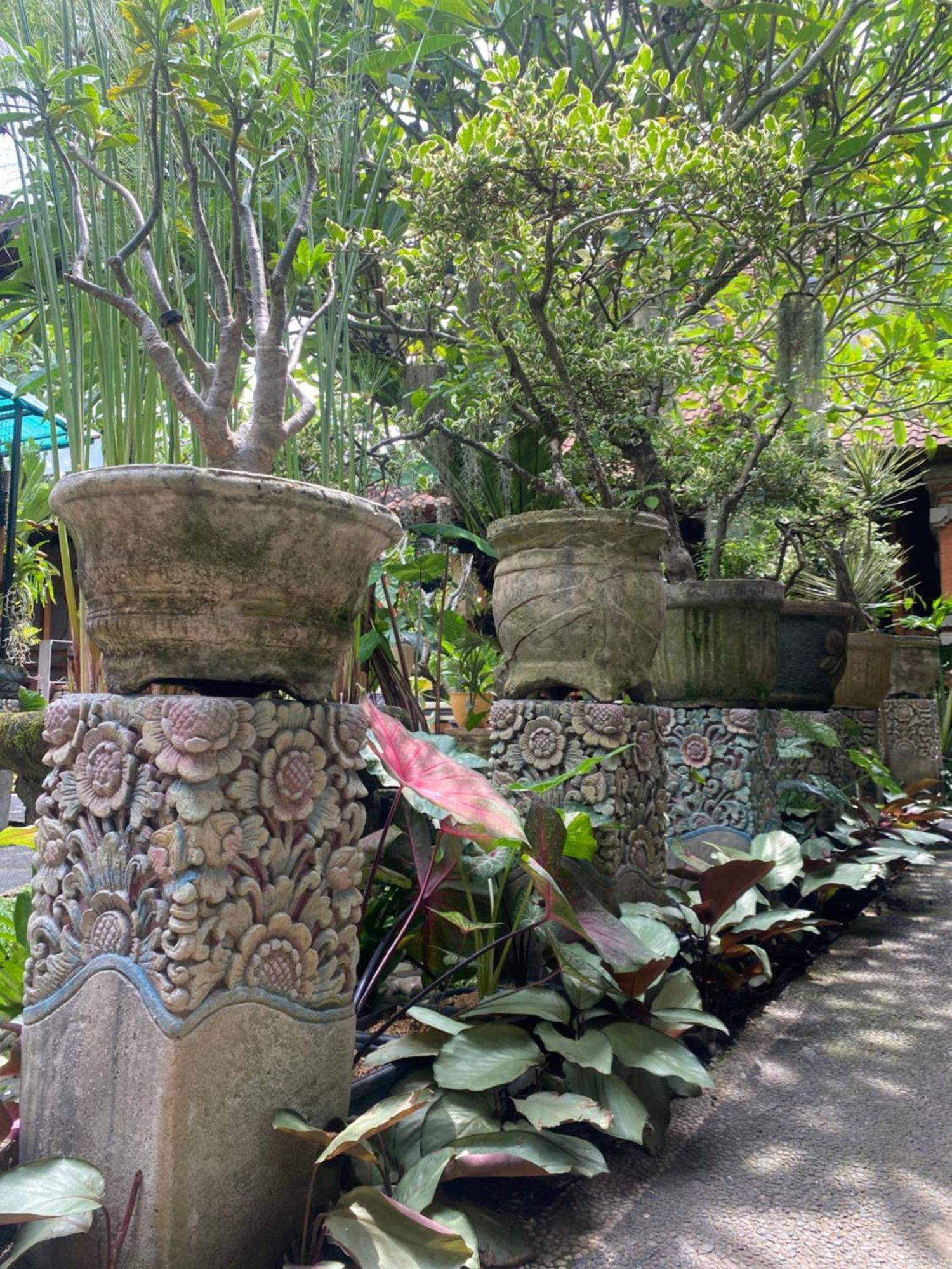 Gus Arditya Homestay Ubud  Exterior photo