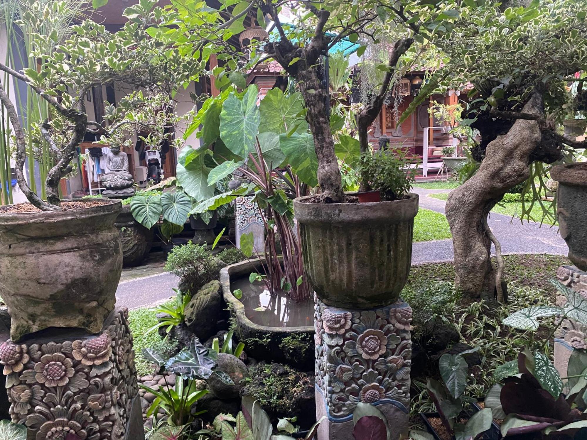 Gus Arditya Homestay Ubud  Exterior photo