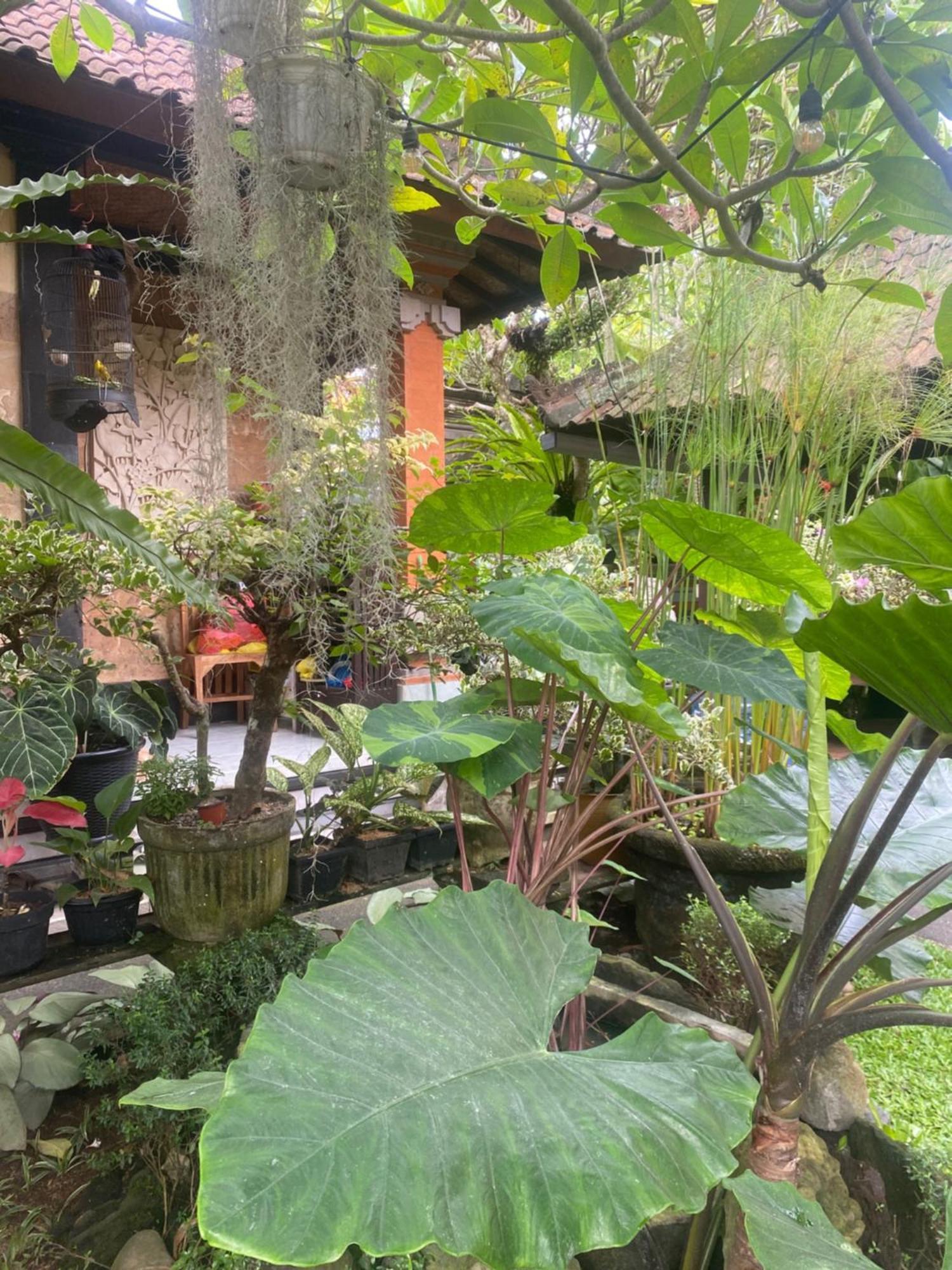 Gus Arditya Homestay Ubud  Exterior photo