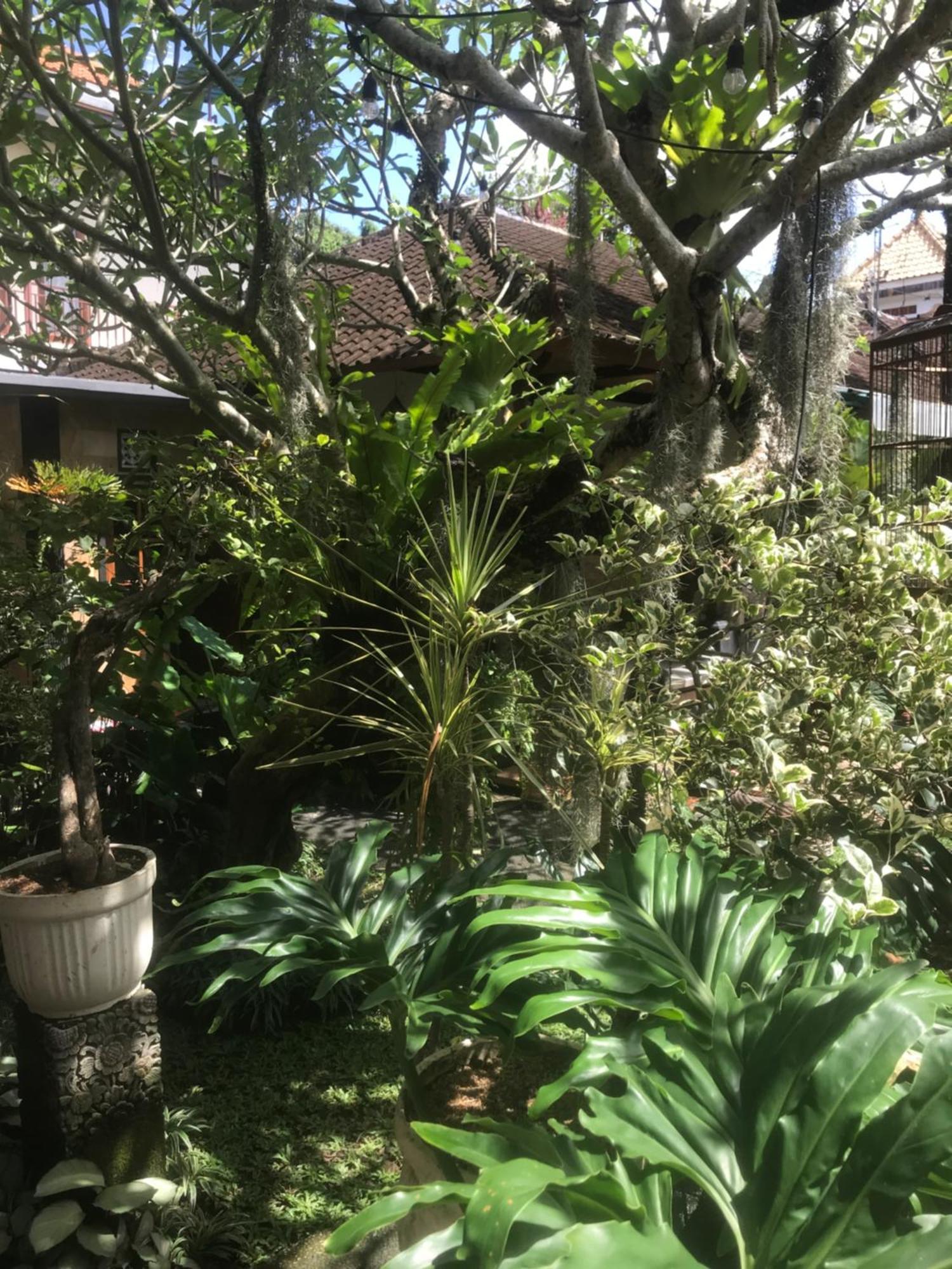 Gus Arditya Homestay Ubud  Exterior photo
